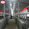 /product-detail/automatic-swine-fattening-feeding-line-for-pig-farm-60787360887.html