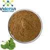 Natural Ginkgo Leaf Extract Powder/ginkgo biloba extract 24/6/ 24.0%Flavones 6.0%lactones
