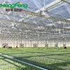 glass greenhouse multispan glass greenhouse inside soilless cultivation vegetables or as sight seeding department