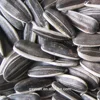 Hot sell chinese bulk raw sunflower seeds 5009 price for wholesale