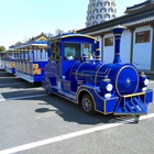 mini outdoor lead acid battery trackless tourist sightseeing amusement electric road Train