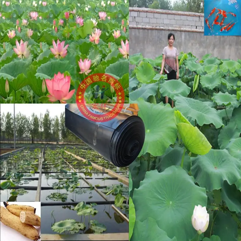 Factory's bottom price geomembrane, all kinds of geosynthetics supply