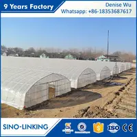 SINOLINKING Agricultural Polytunnel High Tunnel Greenhouse