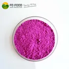 Bulk box common freeze-dried pitaya mango pineapple blueberry strawberry food snack freeze dried fruit