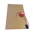 240V Electric Polyimide Flexible Heaters with Flex Circuits