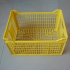 Household Product Fruits and Vegetables Crate Mould Maker in Taizhou
