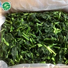 IQF frozen fresh chopped spinach with kosher certificate