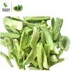 Healthy nutritional VF dry Celery Snacks