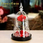 Valentine Day Gift Preserved Fresh Fower Roses in Floral Printing Glass Dome for Wholesale