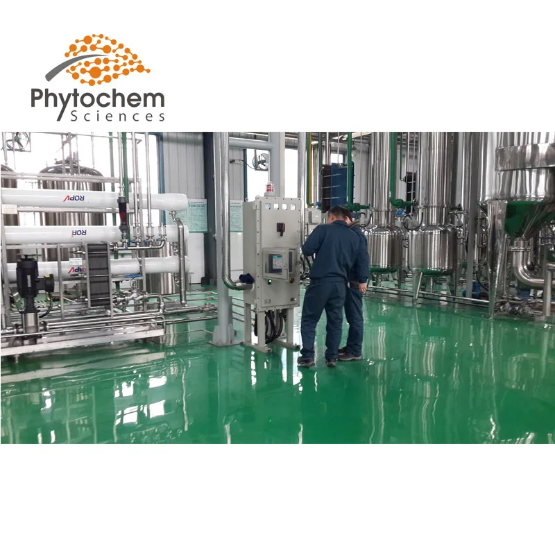 factory picture (1).jpg