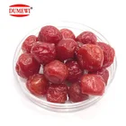 Leisure Time Snack Bulk Pack Dried Sweet Sour Plum Candy