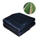 China supplier pp woven fabric plants ground cover, black weed mat