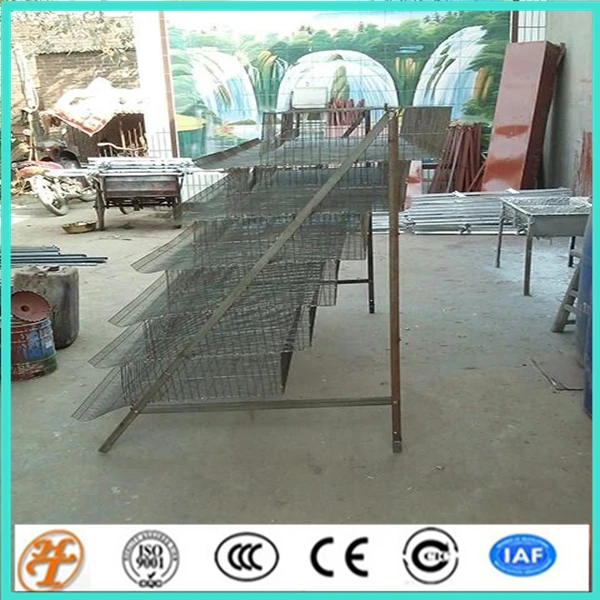 Quail Wire Mesh Cage Design Quail Cage And Water System Buy Design