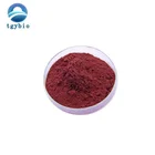 Root Root Shikonin Hot Sale Manufacturer Supply Purple Gromwell Root Extract Shikonin