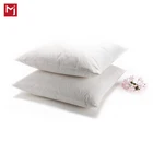feather duck down pillow inserts/decorative pillows/down filled cushion
