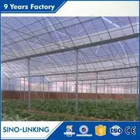 Low Price Hydroponic Multi Span Prefab