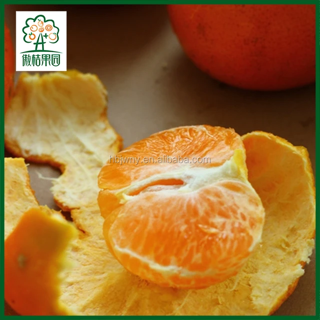 fresh orange fruits import export and vegetables