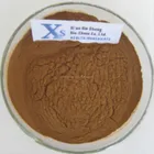 High Quality GMP Kosher Natural Corn Silk Powder/Corn Stigma Powder