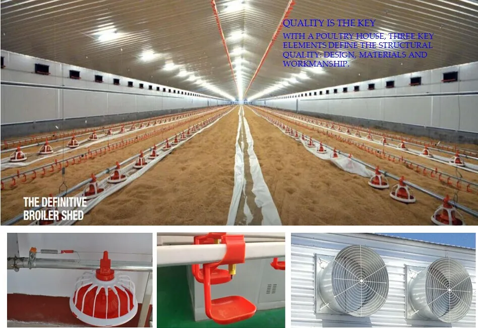 control low cost poultry shed/farm for broiler layer