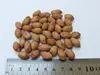 /product-detail/raw-peanuts-runner-167809274.html