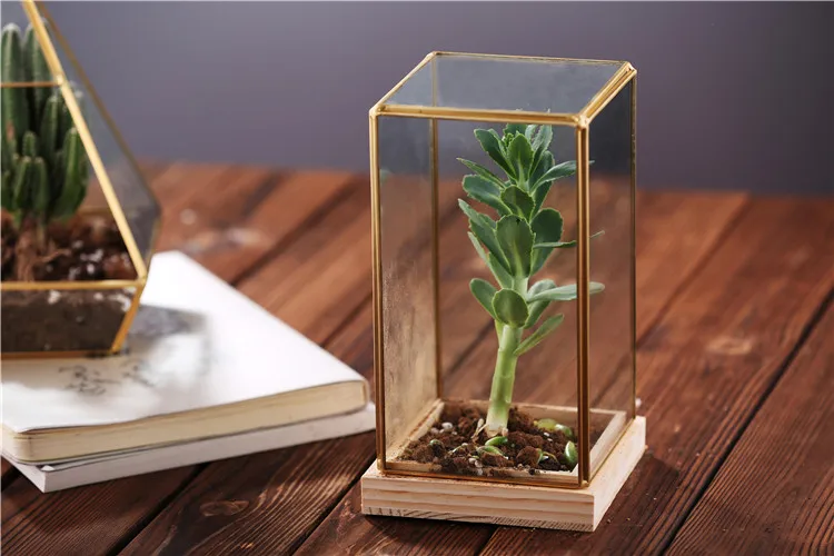 glass terrarium (2).jpg