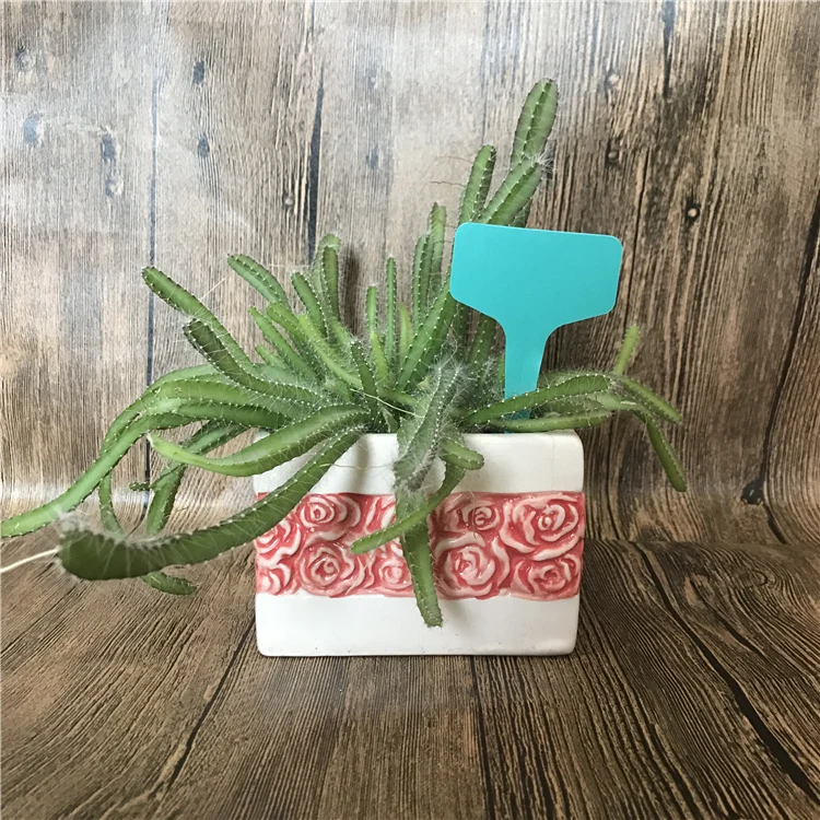 Plant tag.jpg