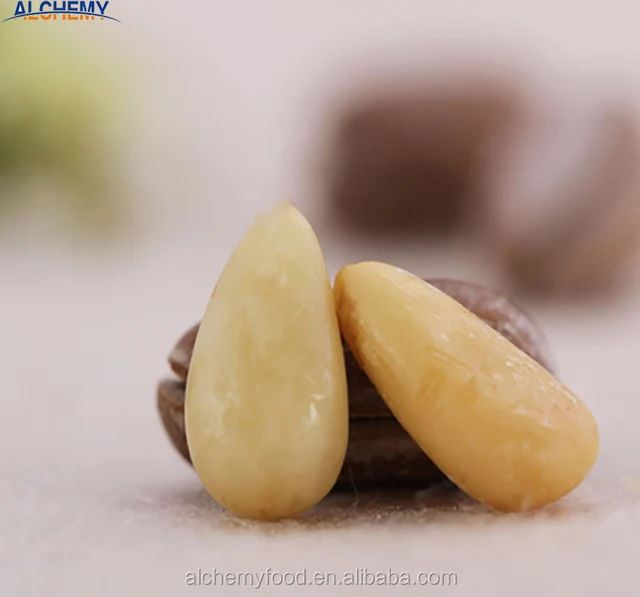 pine nuts in shell photos