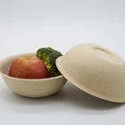 Bamboo Fiber Food Containers Degradable Disposable Bowl