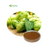 /product-detail/2018-hot-seiing-wiild-natural-hops-extract-powder-60786138470.html