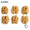 China best dry fruit walnut