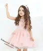 amazing pink chiffon appliqued dress princess party/wedding/birthday dress for 2-12 years old girls