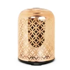 2018 Popular Luxury Rose Gold Hollow Electroplating Air Humidifier Essential Oil Aroma Diffuser