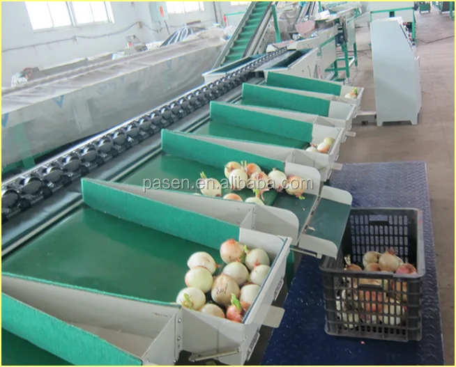 Fruit Weight Sorting Machine05