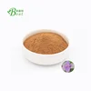 100% pure perilla leaf p.e/perilla powder/perilla leaf extract 10:1