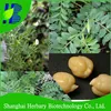 High sprouting rate chickpea seeds for sale