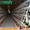 /product-detail/galvanized-iron-chicken-cage-pullet-cage-chicken-equipment-60289316971.html