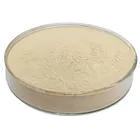 Aquaculture bacteria bacillus subtilis