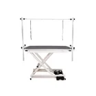 Electric veterinary medical equipment dog grooming table in pet clinic for animal