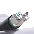 Low Voltage Aluminum Core Crosslinked Polyethylene Insulated Pvc Sheathed Power Cable For Underground