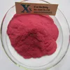 High Quality GMP standard Red Beet root Powder