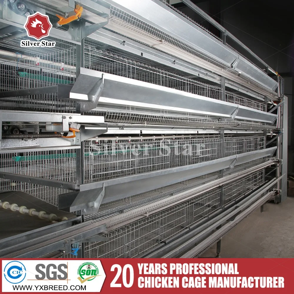 Poultry Farm Tools And Names Chicken Feeding Equipments Buy Poultry