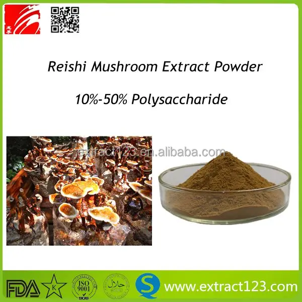 organic reishi extract,reishi mushroom extract,ganoderma lucidum