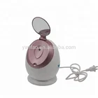 Hot selling Salon Spa Professional Ionic Facial Steamer