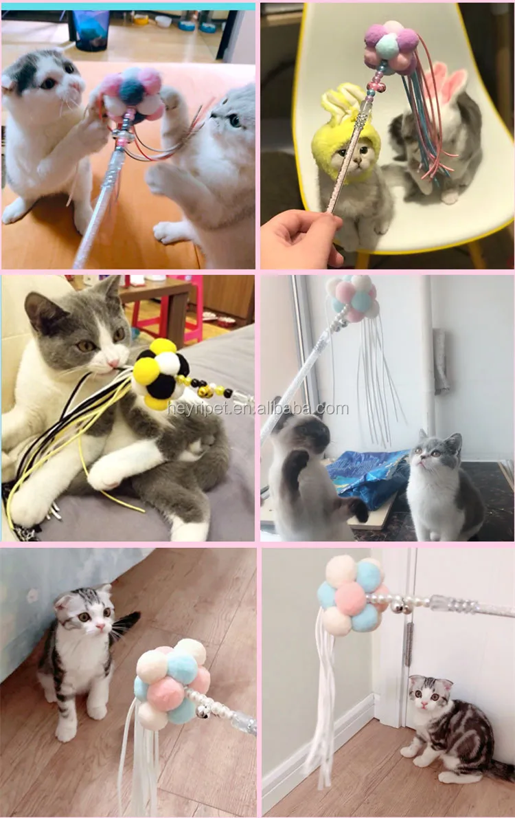 cat teaser toy (1).jpg