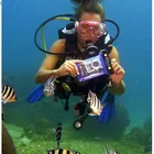 Best seller on beach snorkelling custom logo cellphone zipper pouch IPX8 30m pvc waterproof phone dry bag up to 5.7'''
