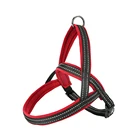 New arrival dog lead retractable belt for puppy collar and lead