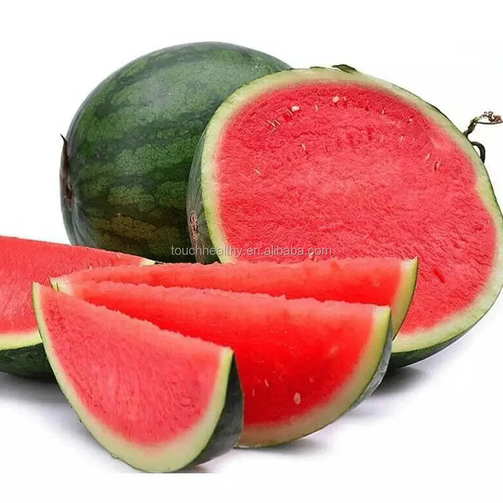 supply honey-red high content suger hybrid watermelon seeds f1