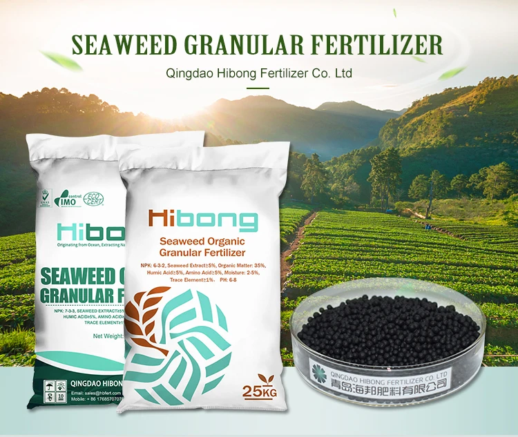 export ferti supplier Garden Plant seaweed organic shiny granular Fertilizer