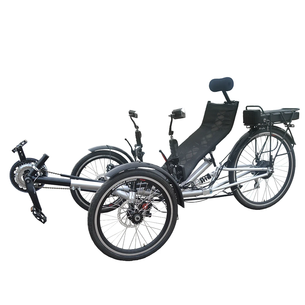 dual front wheel bicycle