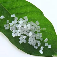 Pla Polylactic Acid Plastic Granule 100